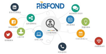北京人力资源服务网 人力信息咨询的多维价值与实践路径