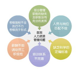 慧扬咨询 以人力洞察驱动医院管理的智慧转型